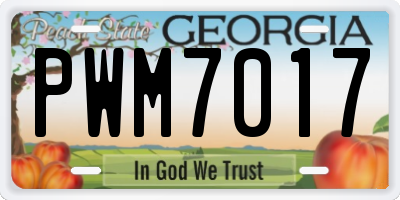 GA license plate PWM7017