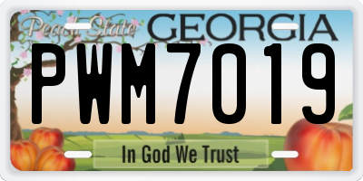 GA license plate PWM7019