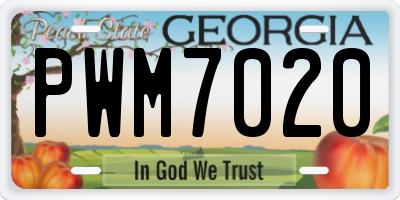 GA license plate PWM7020
