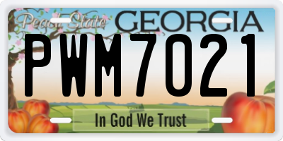 GA license plate PWM7021