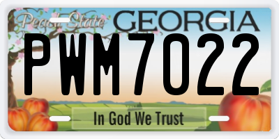 GA license plate PWM7022