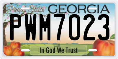 GA license plate PWM7023
