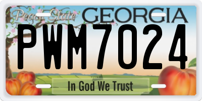 GA license plate PWM7024