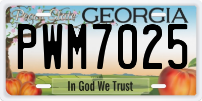 GA license plate PWM7025