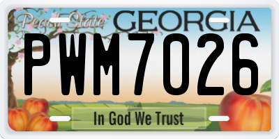 GA license plate PWM7026