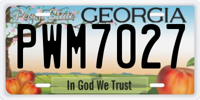GA license plate PWM7027