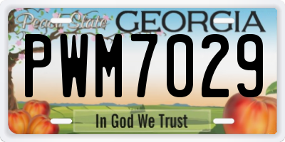 GA license plate PWM7029