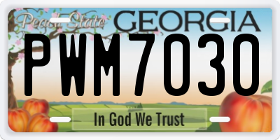 GA license plate PWM7030