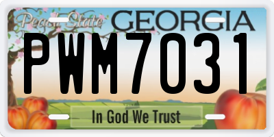 GA license plate PWM7031