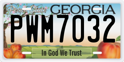 GA license plate PWM7032