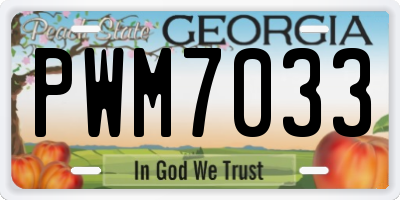 GA license plate PWM7033