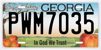 GA license plate PWM7035