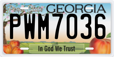 GA license plate PWM7036