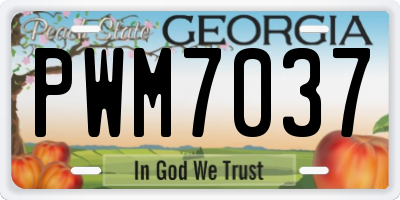 GA license plate PWM7037