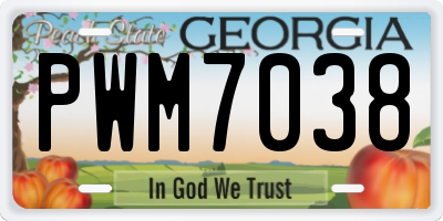 GA license plate PWM7038