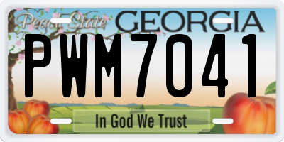 GA license plate PWM7041