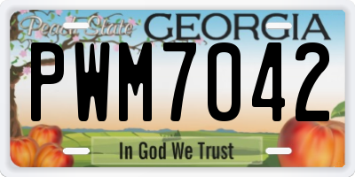 GA license plate PWM7042