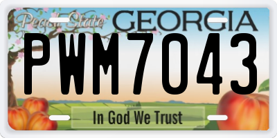 GA license plate PWM7043