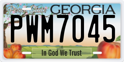 GA license plate PWM7045