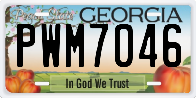 GA license plate PWM7046