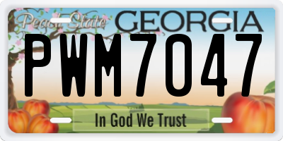 GA license plate PWM7047