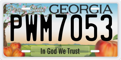 GA license plate PWM7053