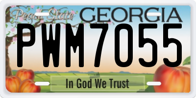 GA license plate PWM7055