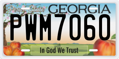 GA license plate PWM7060