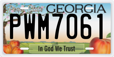 GA license plate PWM7061