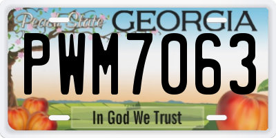 GA license plate PWM7063