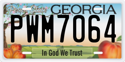 GA license plate PWM7064