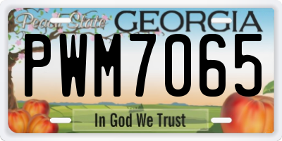 GA license plate PWM7065