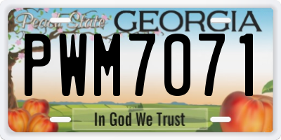 GA license plate PWM7071