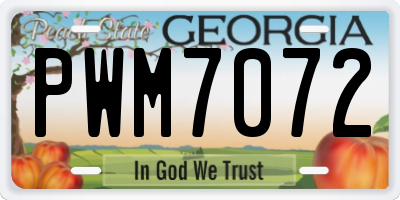 GA license plate PWM7072