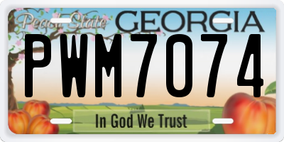 GA license plate PWM7074