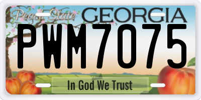 GA license plate PWM7075