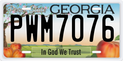 GA license plate PWM7076