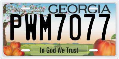 GA license plate PWM7077