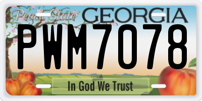 GA license plate PWM7078