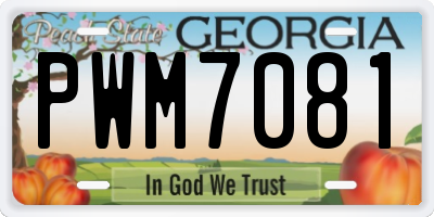 GA license plate PWM7081
