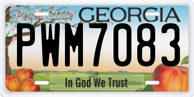 GA license plate PWM7083