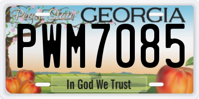 GA license plate PWM7085