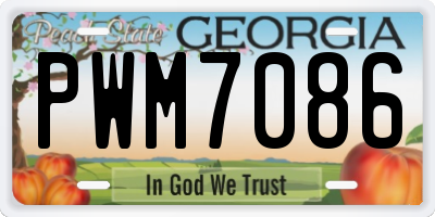 GA license plate PWM7086