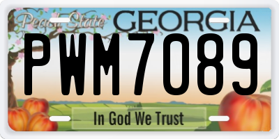 GA license plate PWM7089