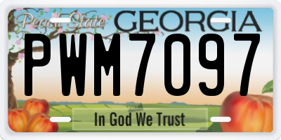 GA license plate PWM7097