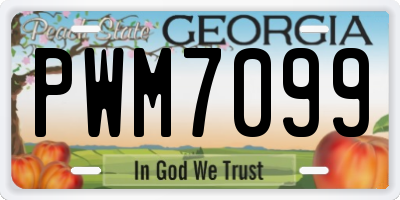 GA license plate PWM7099