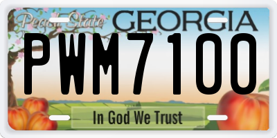GA license plate PWM7100