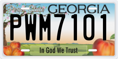 GA license plate PWM7101