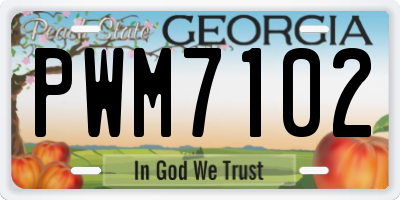 GA license plate PWM7102