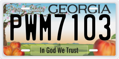 GA license plate PWM7103